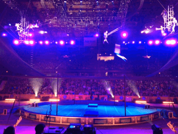 ringlingbros_daddysgrounded_04